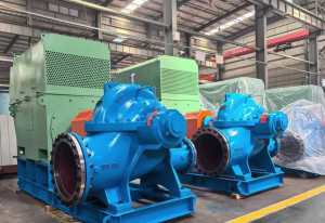 this is a horizontal split case pump