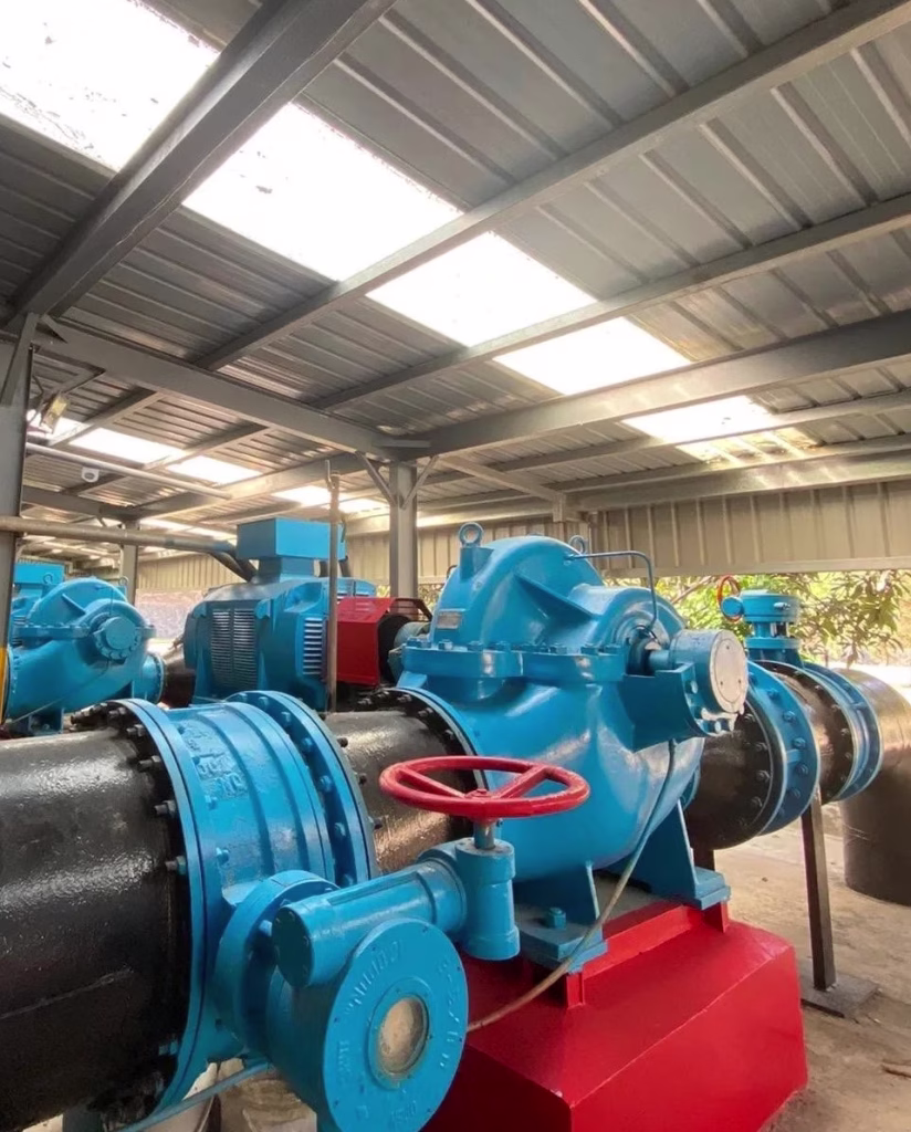 this is horizontal split case pump photo