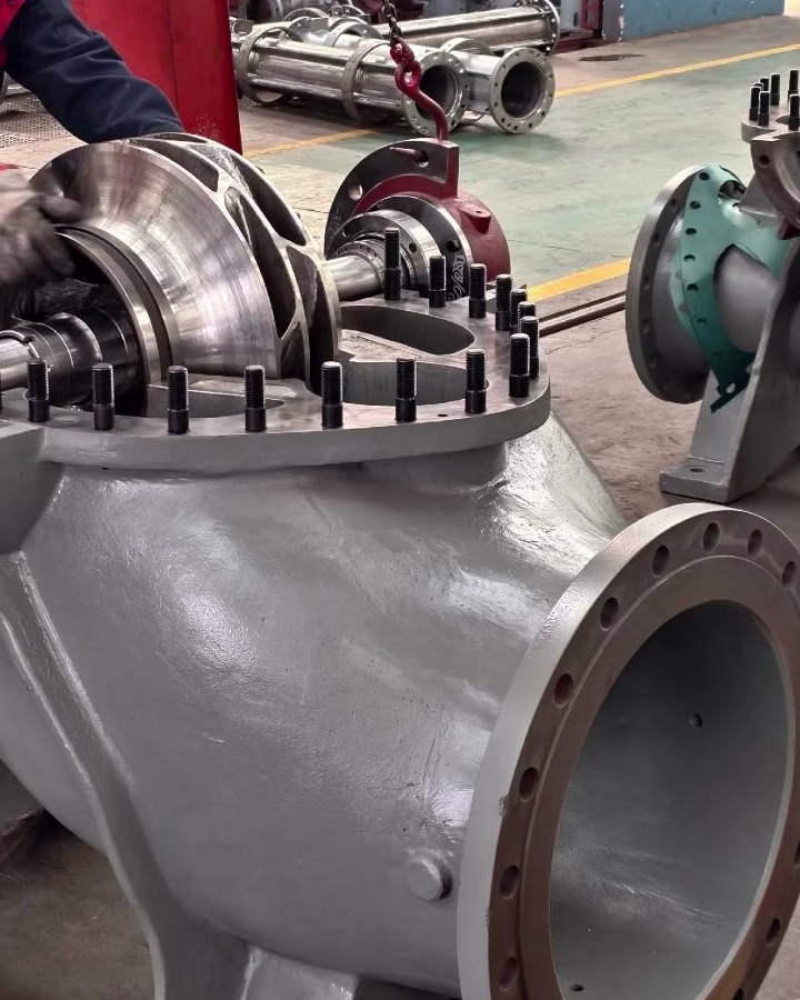 split-case-pump-for-petroleum-gasoline (2)