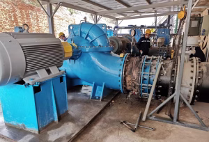 this is a horizontal split case pump photo