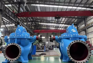 this is a horizontal split case pump photo