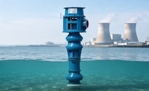 Duplex Stainless Steel Circulation Pump for Thermal and Nuclear Power Plants
